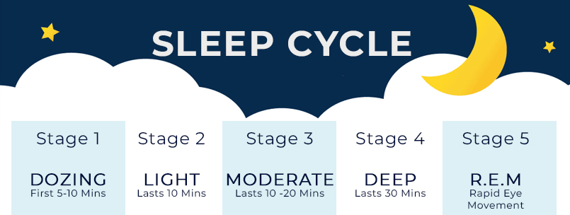sleep cycle